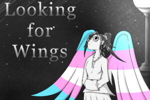 Cover: Looking for Wings